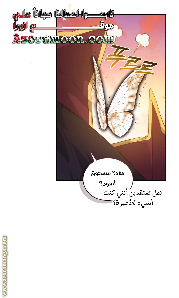 الصفحة 26