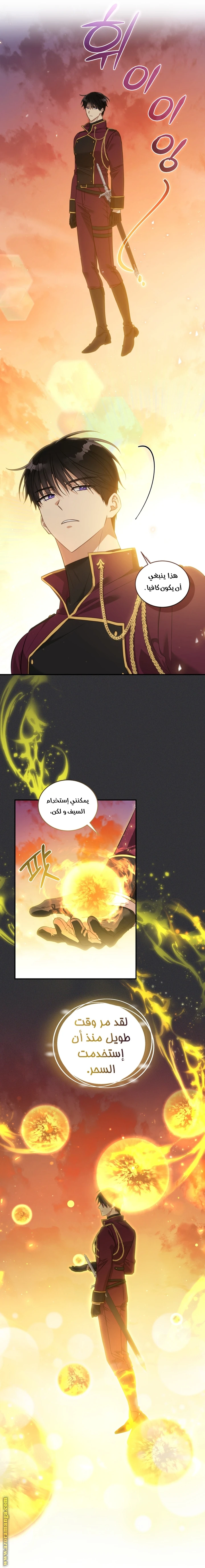 الصفحة 27