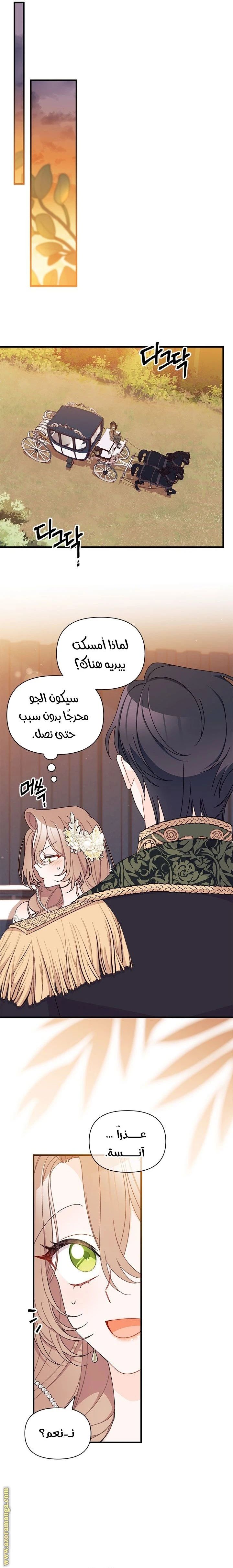 الصفحة 11