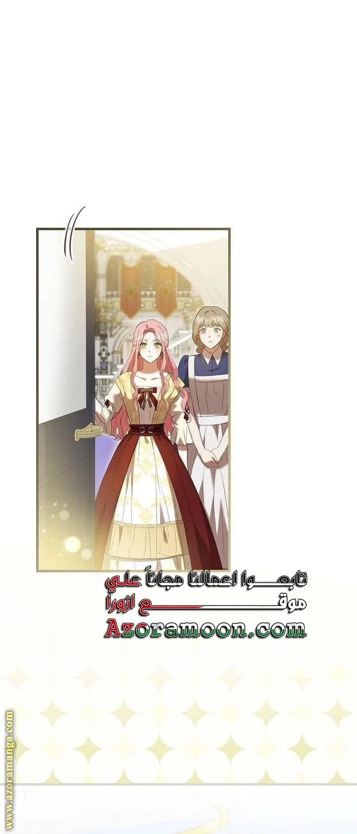 الصفحة 25