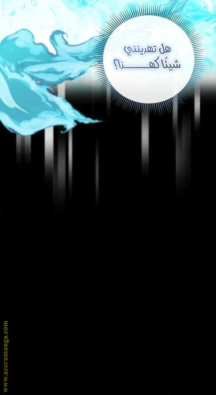 الصفحة 62