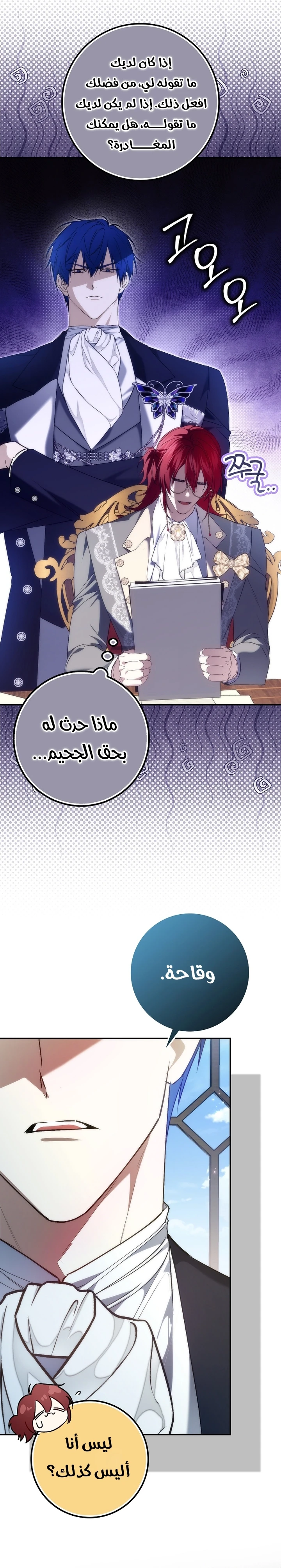 الصفحة 25