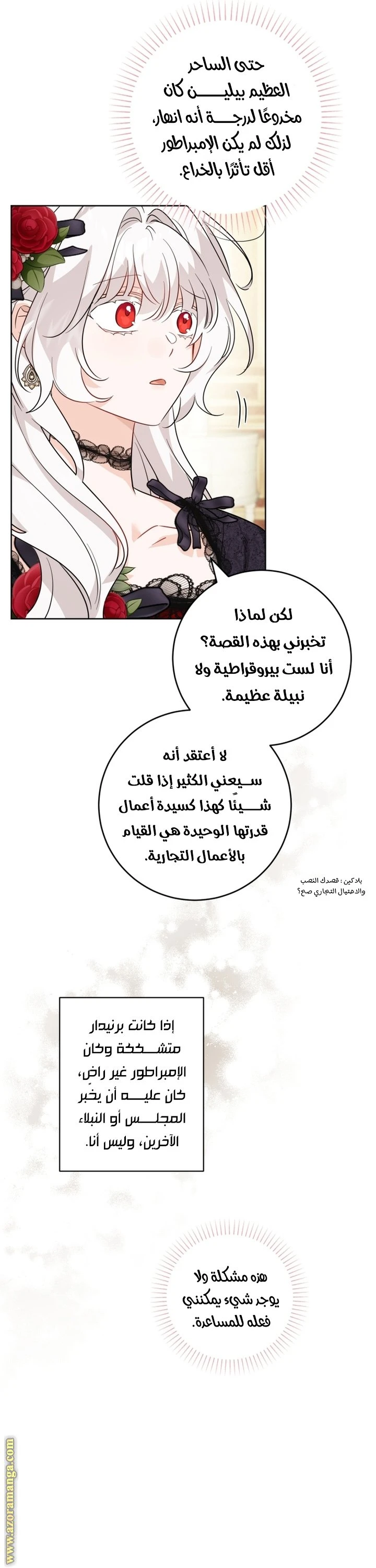 الصفحة 17
