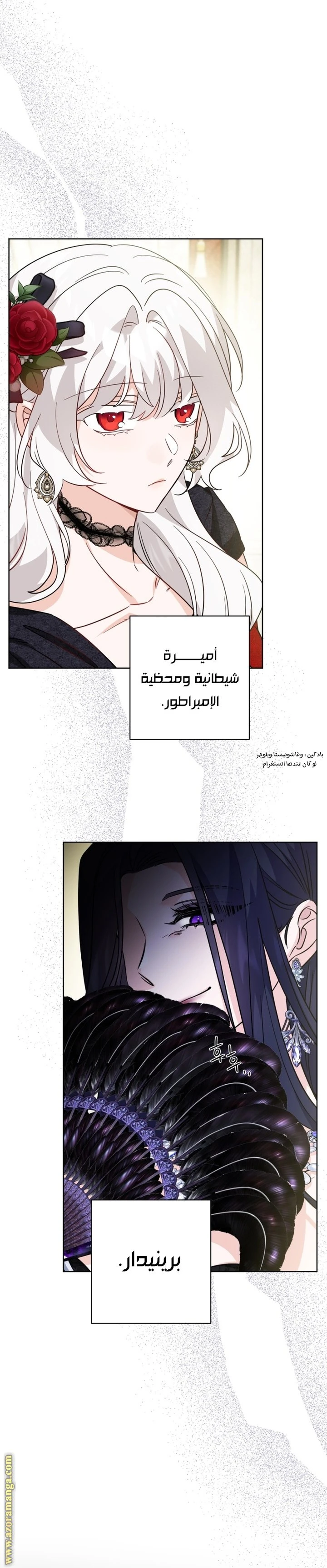 الصفحة 24