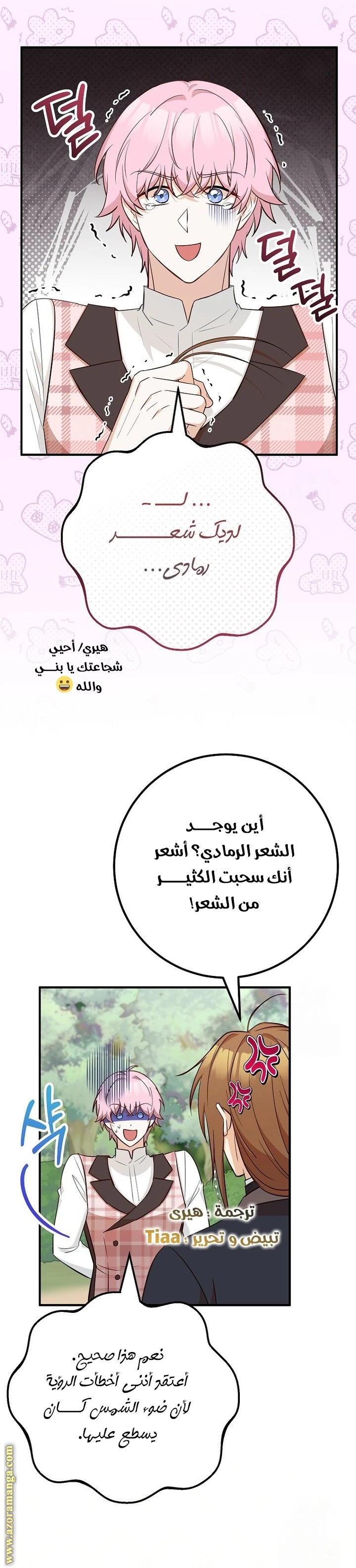 الصفحة 22
