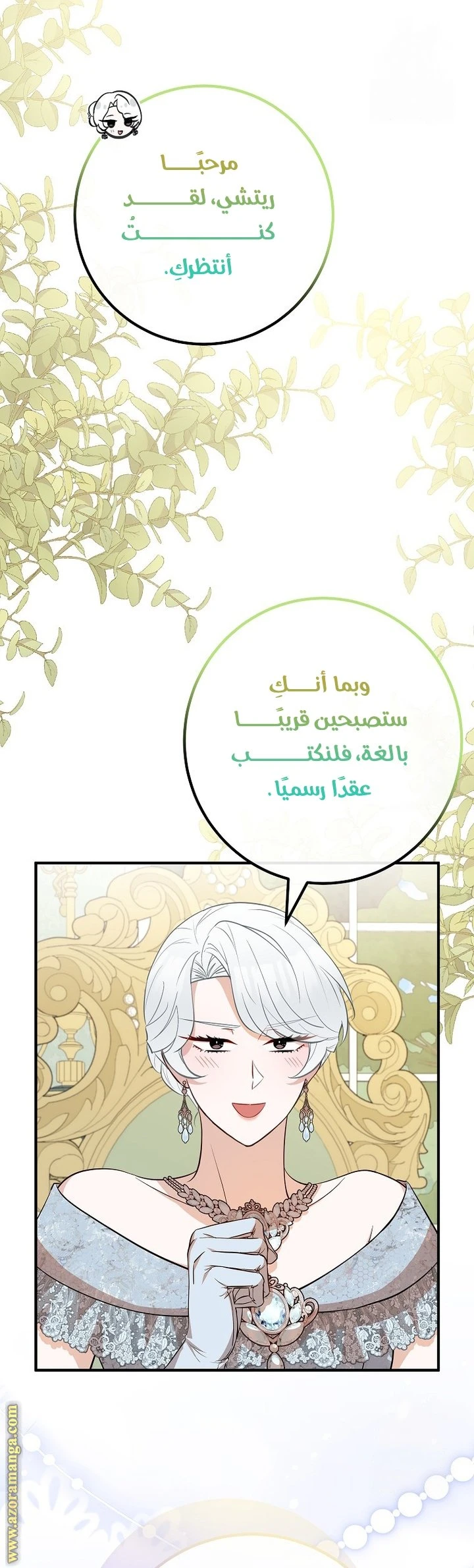 الصفحة 29