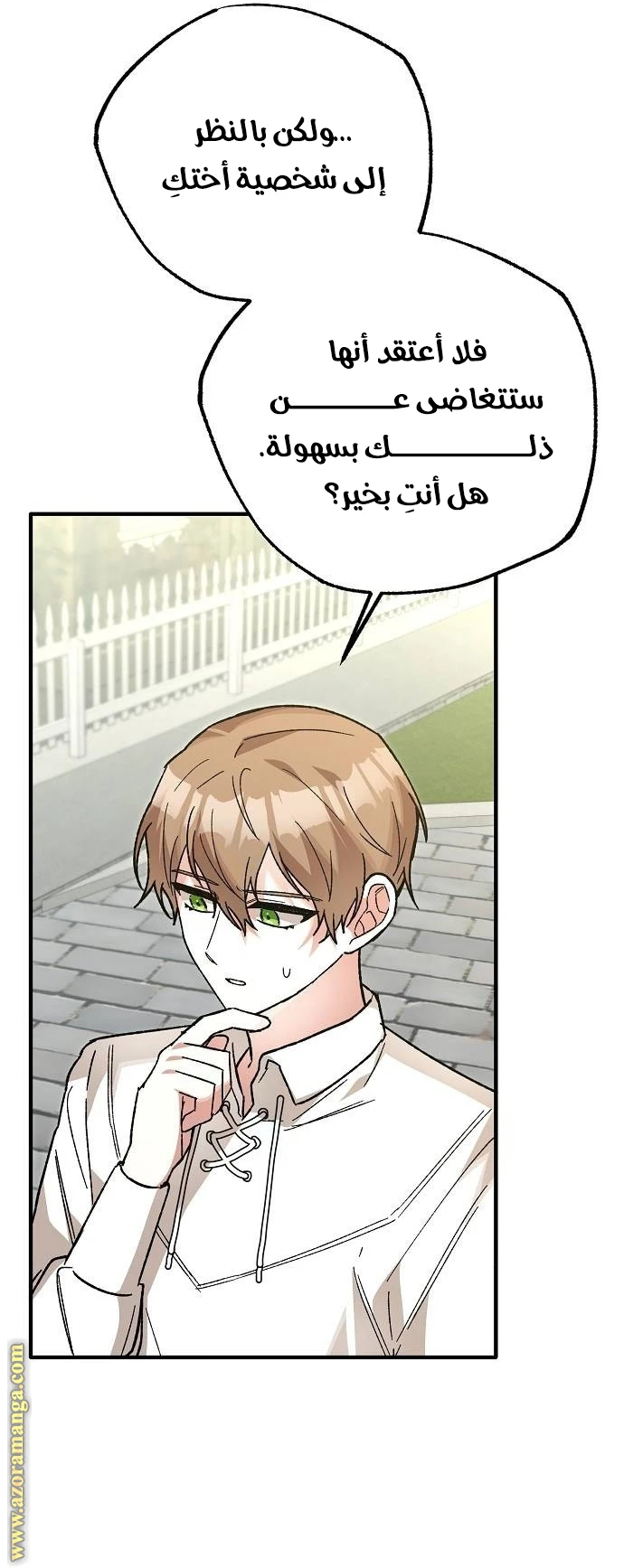 الصفحة 29