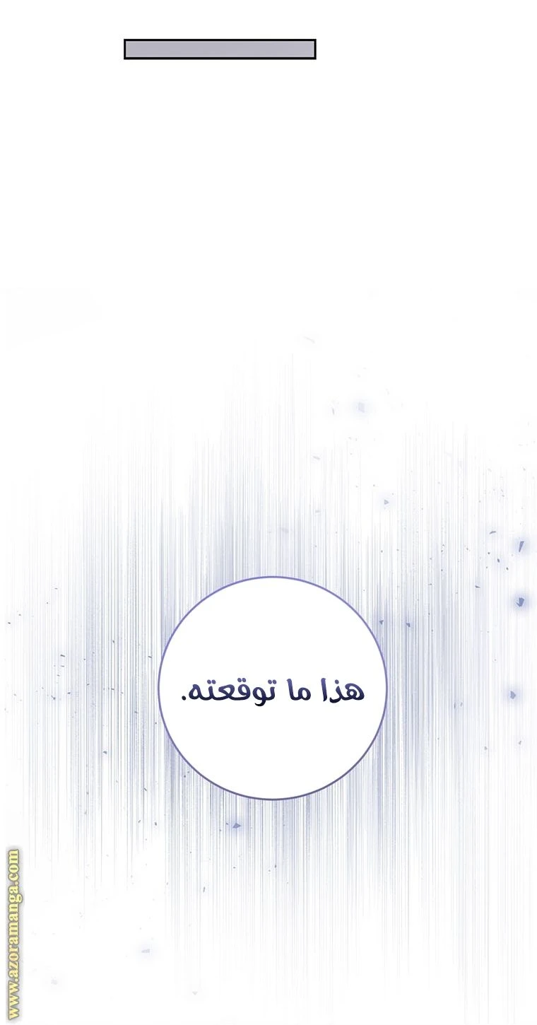 الصفحة 27