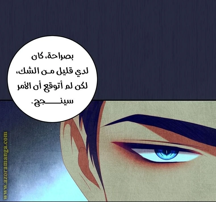 الصفحة 31