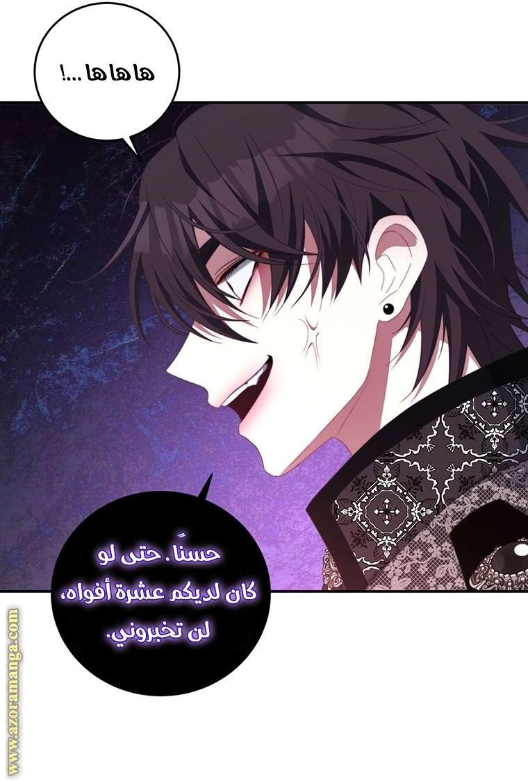الصفحة 41