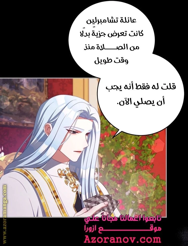 الصفحة 45