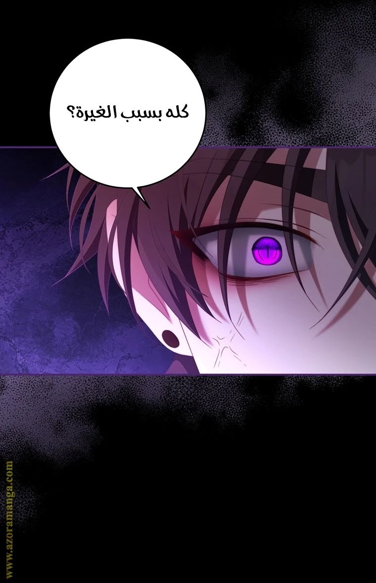 الصفحة 46