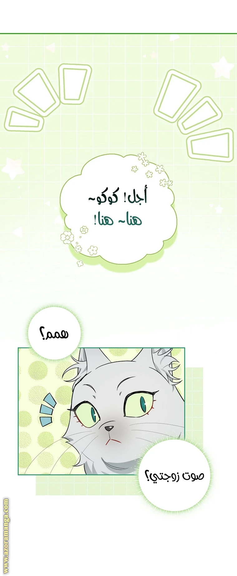 الصفحة 12