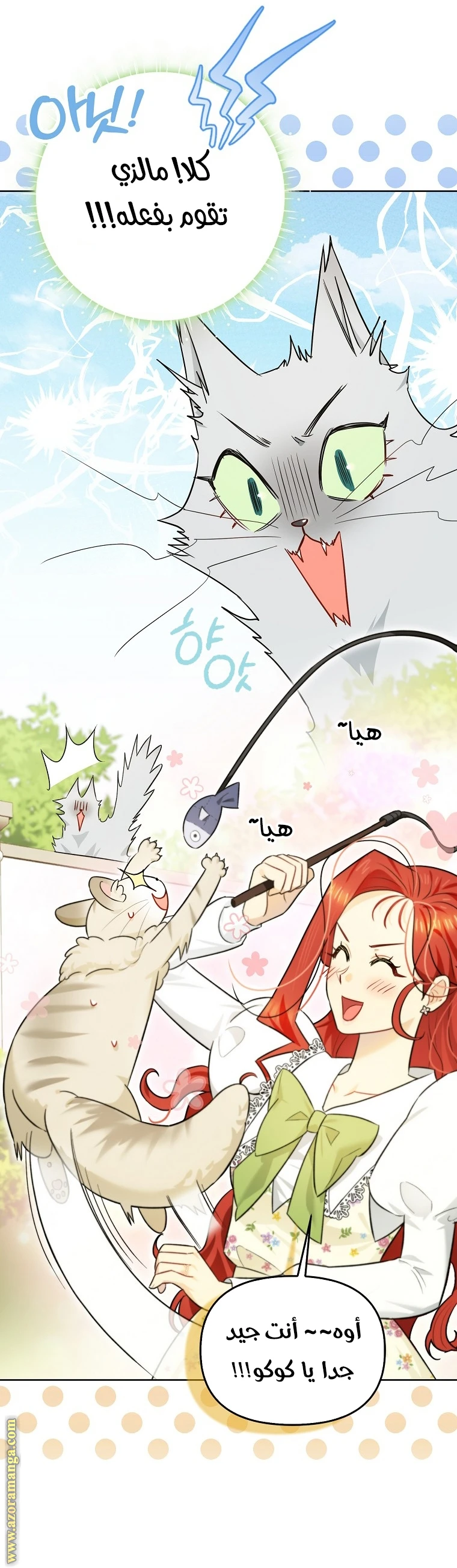 الصفحة 13