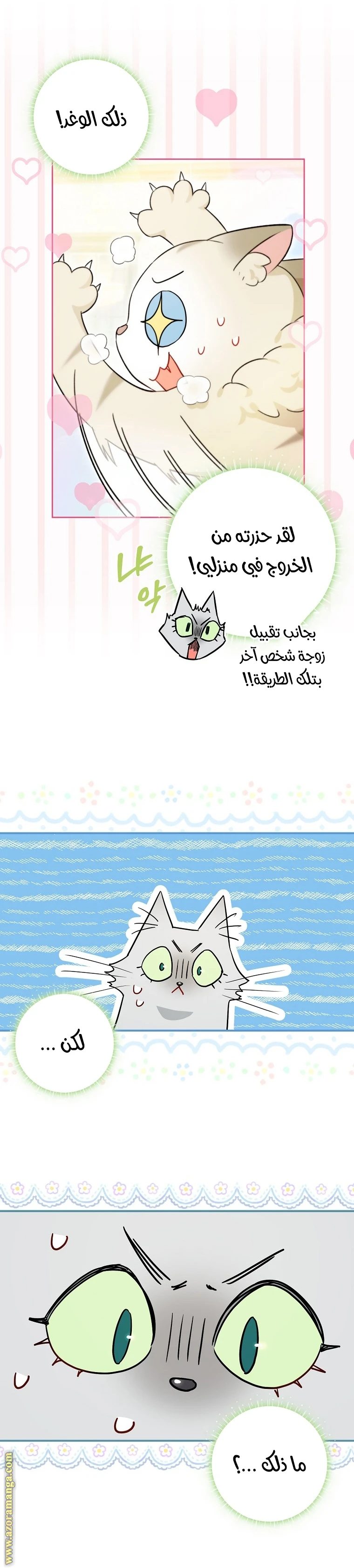 الصفحة 14