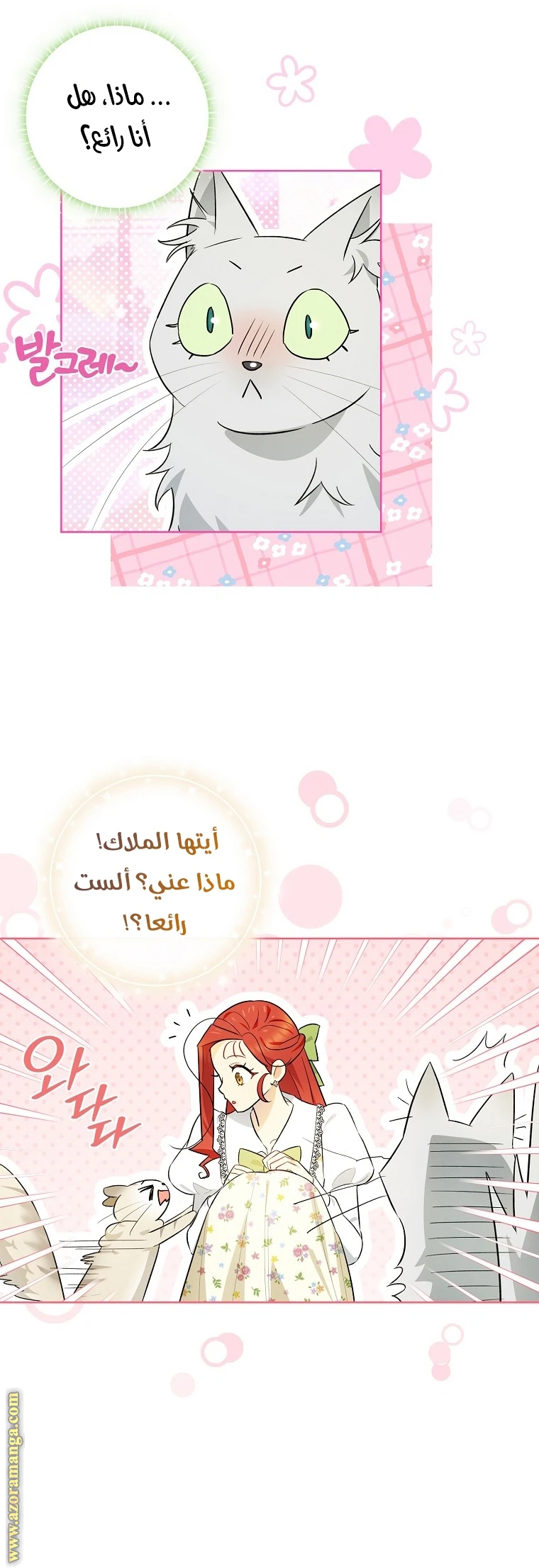 الصفحة 21