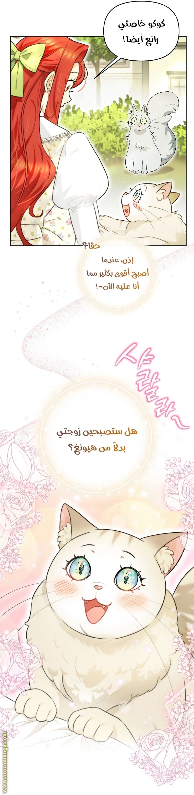 الصفحة 22