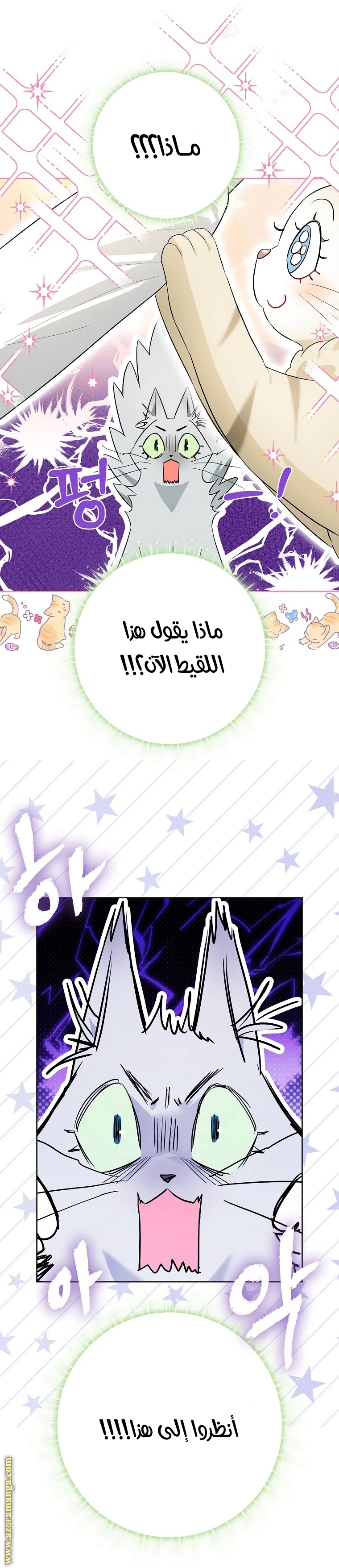 الصفحة 23