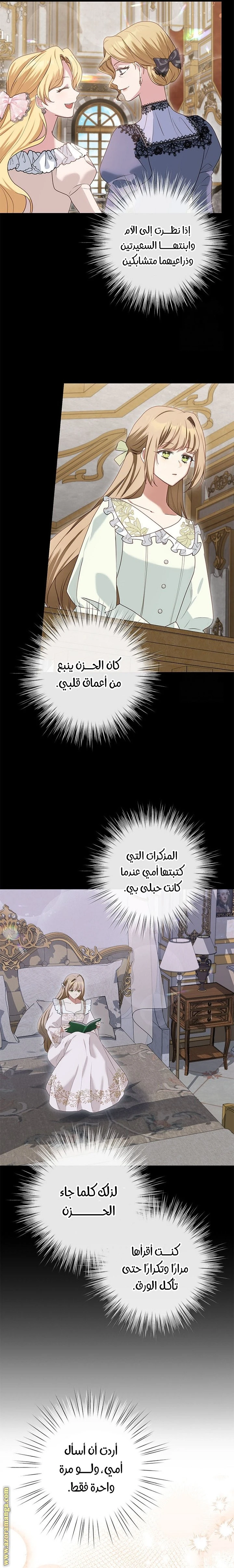 الصفحة 17