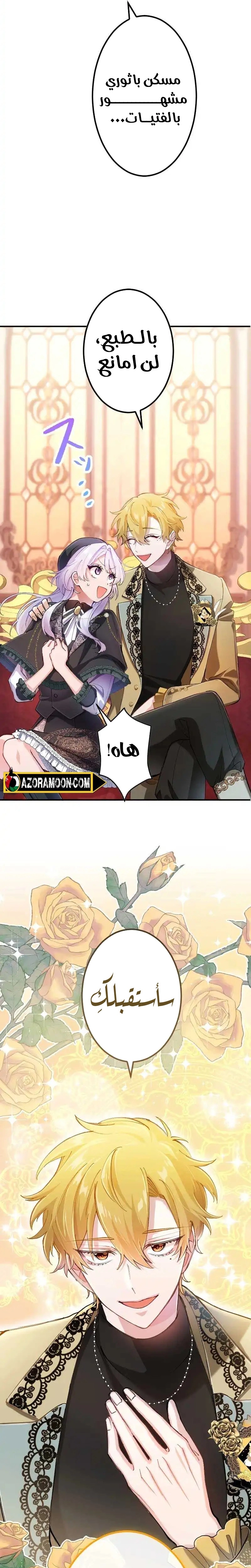 الصفحة 12