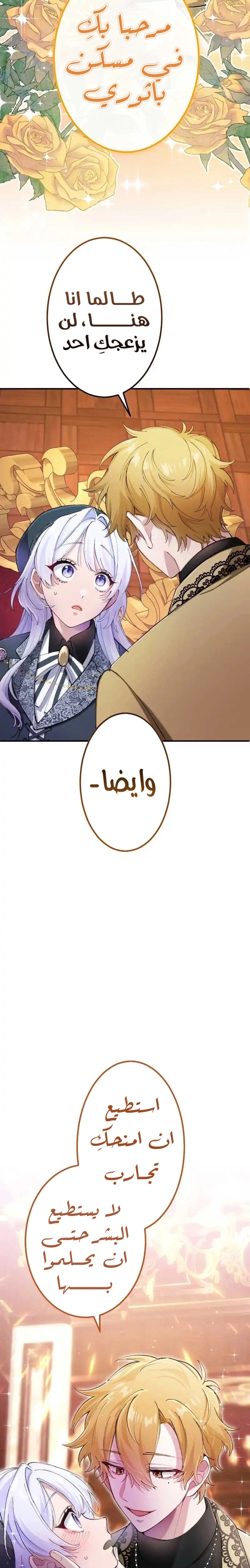 الصفحة 13