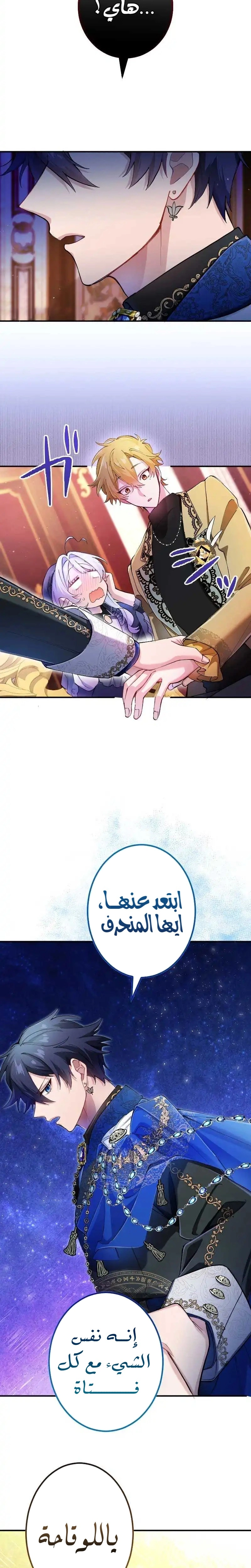 الصفحة 16