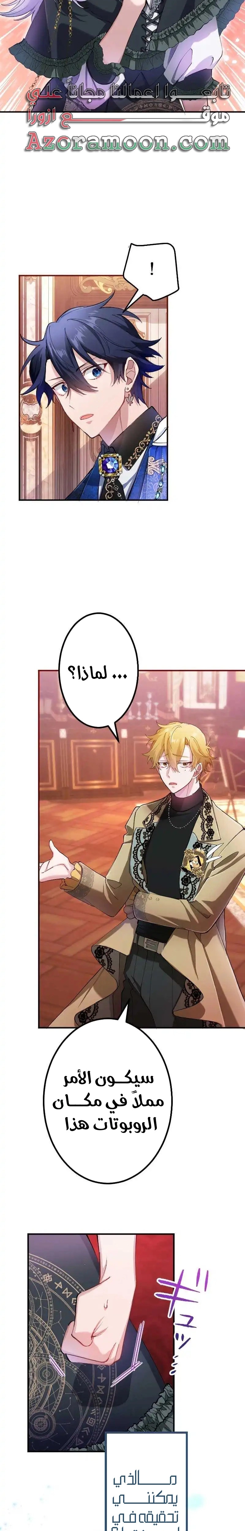 الصفحة 19
