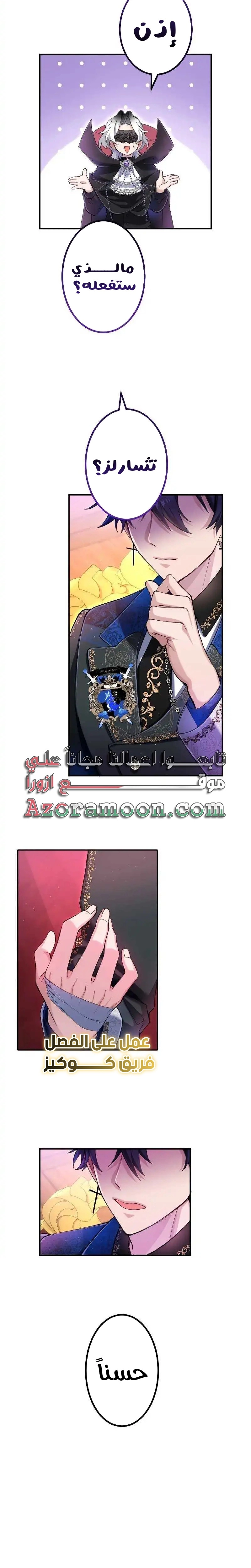 الصفحة 24
