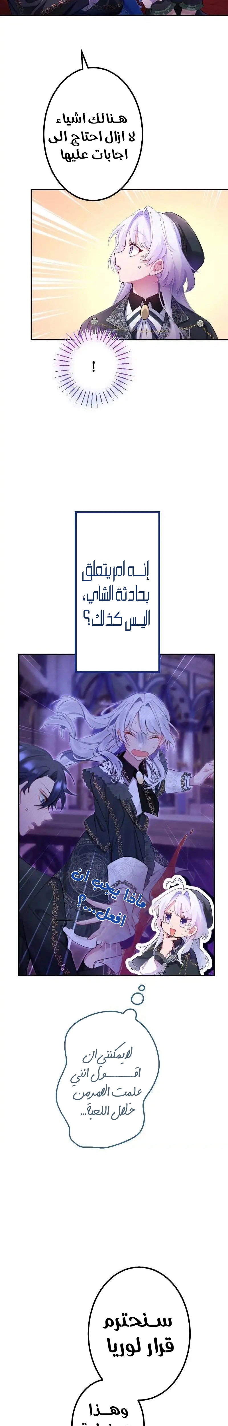 الصفحة 26