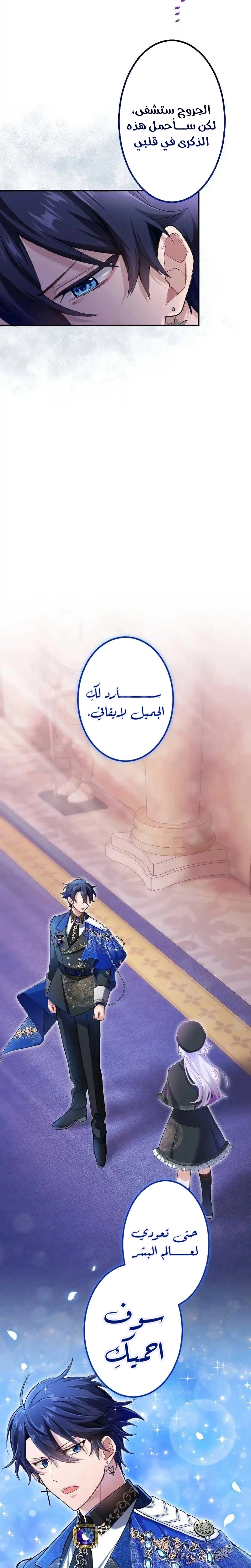 الصفحة 29
