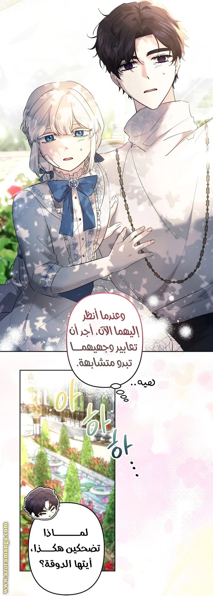 الصفحة 13