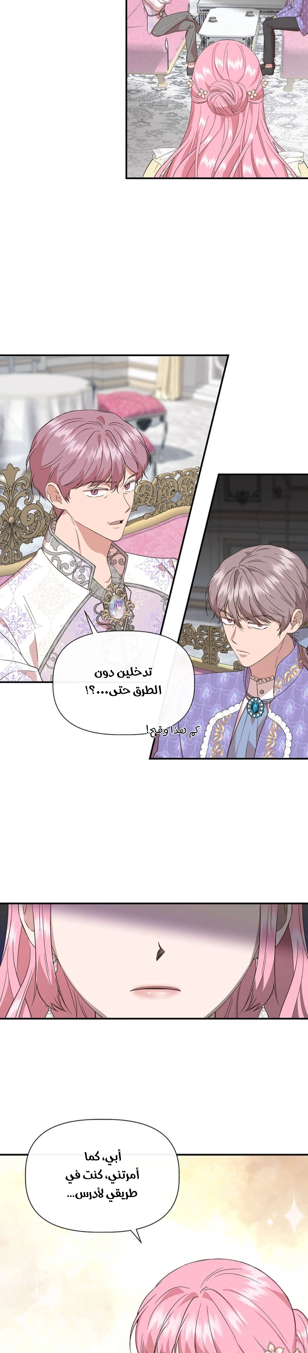 الصفحة 13
