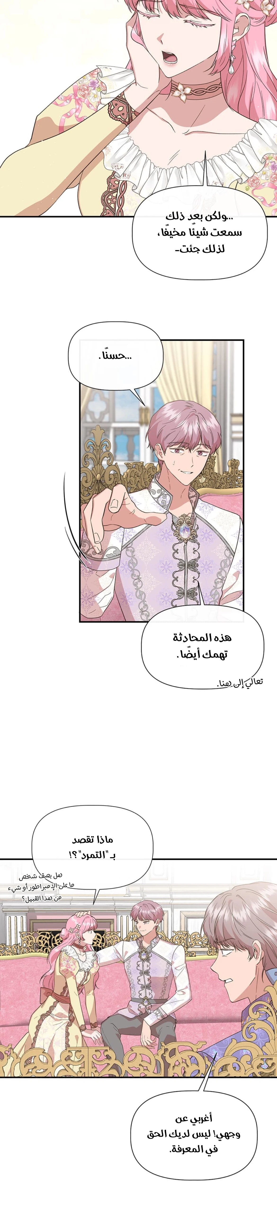 الصفحة 14