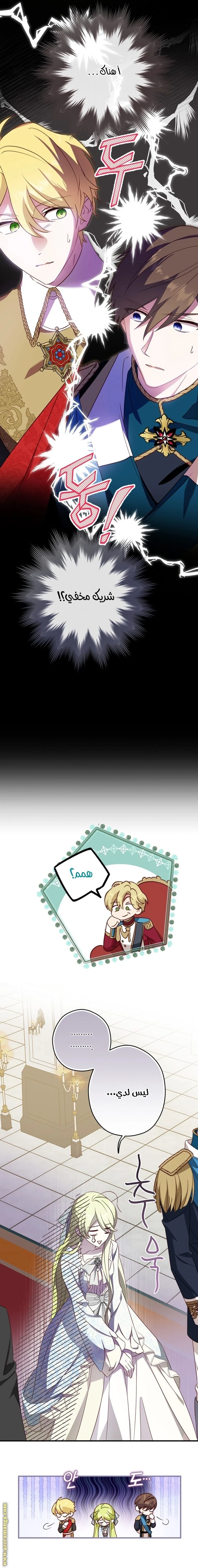 الصفحة 20