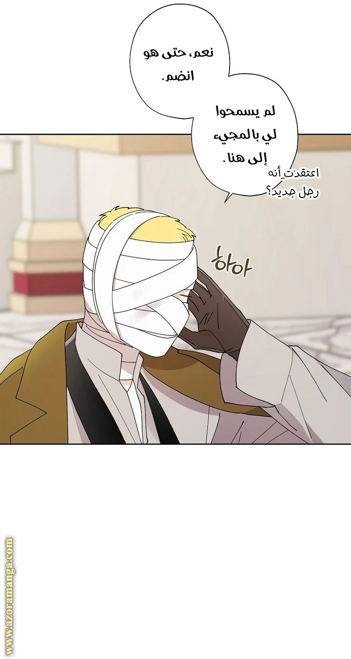 الصفحة 19