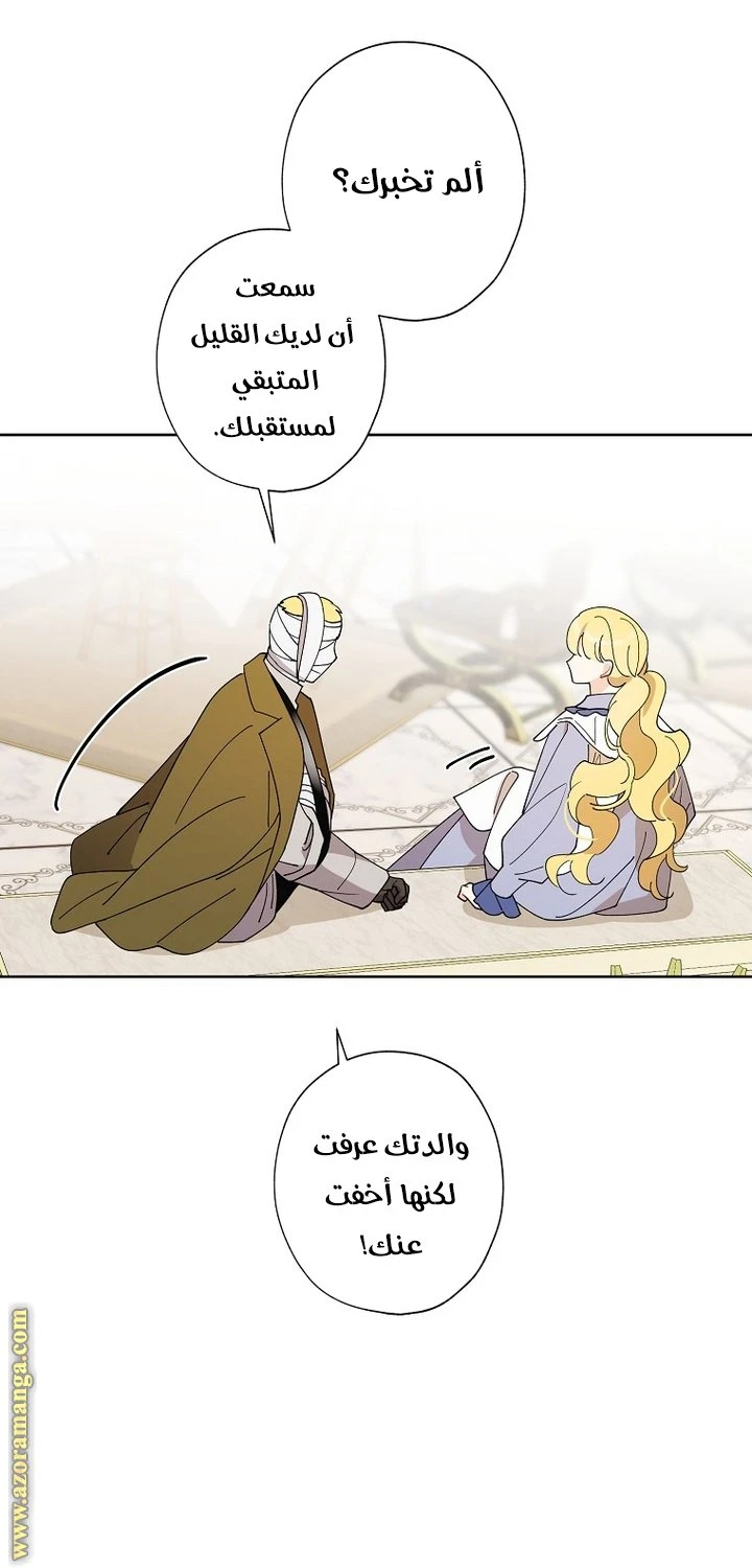 الصفحة 24