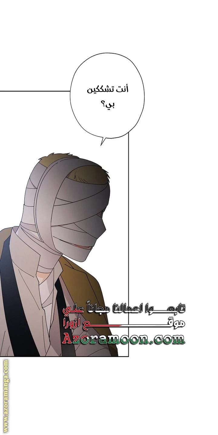 الصفحة 29