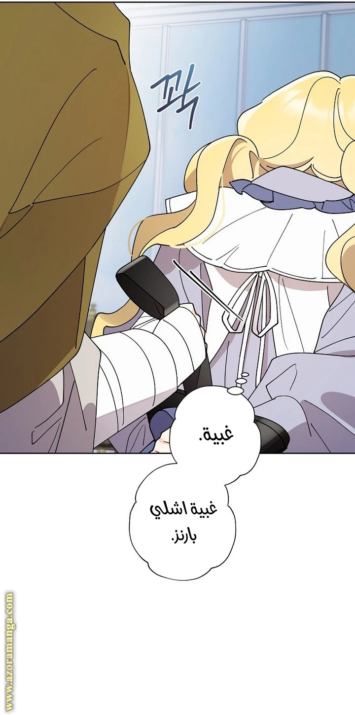 الصفحة 43