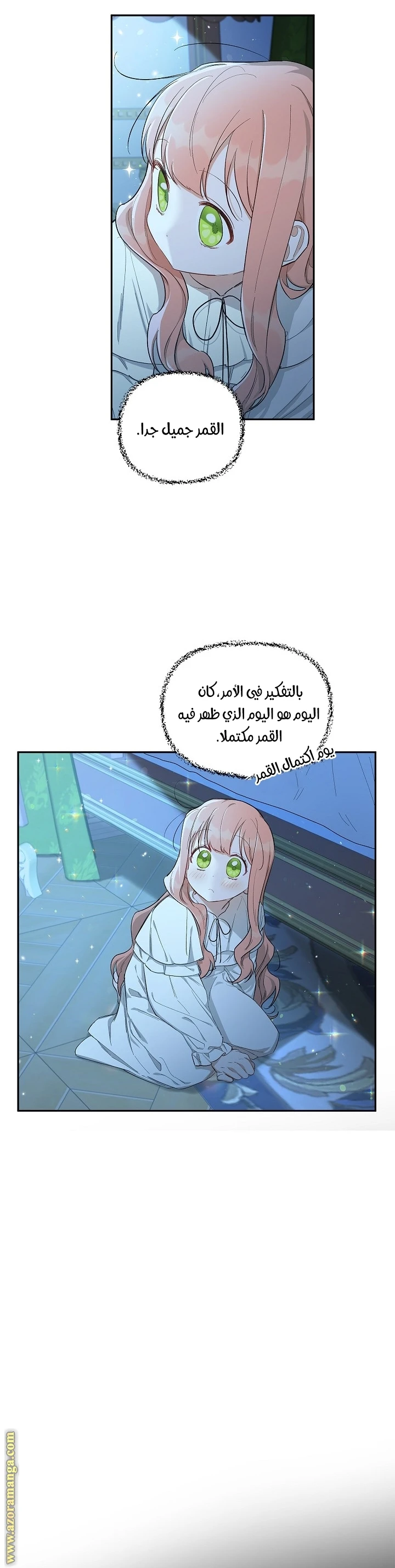الصفحة 13