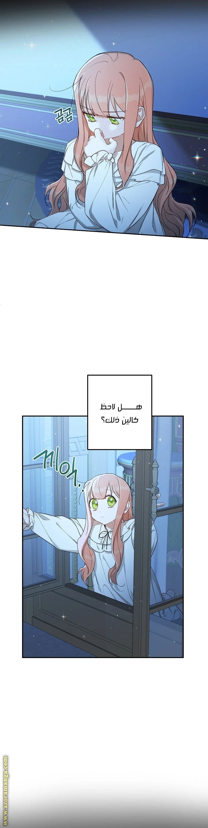 الصفحة 17