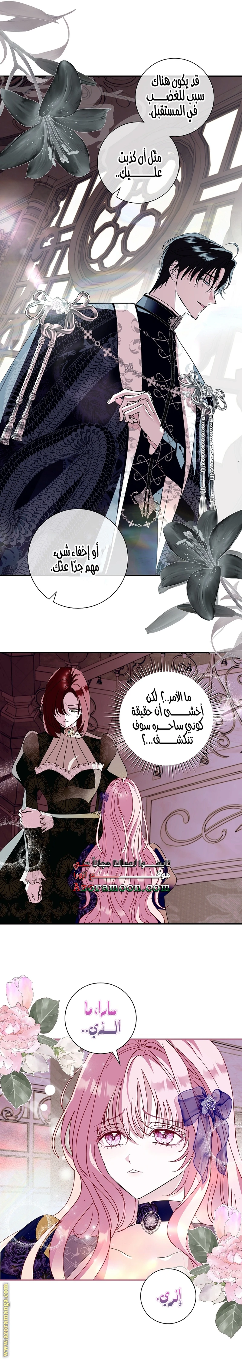 الصفحة 13