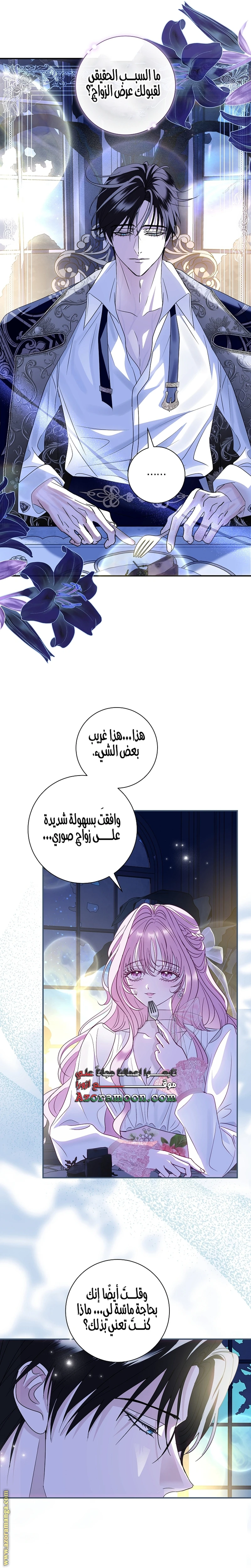 الصفحة 17