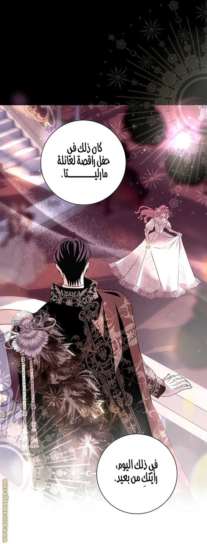 الصفحة 24