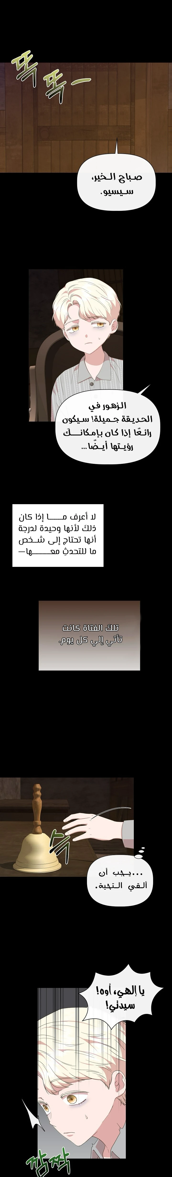 الصفحة 11