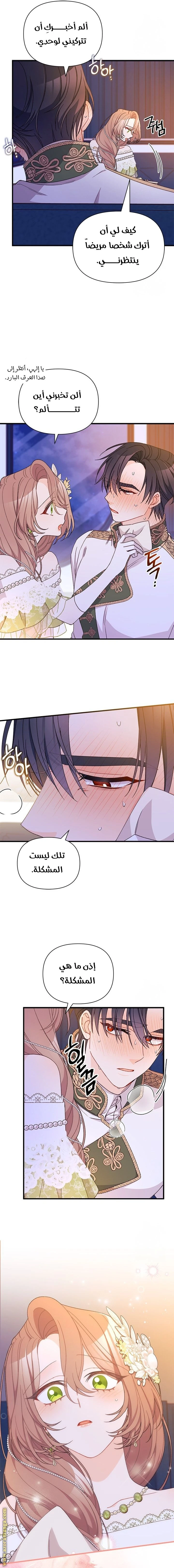 الصفحة 12