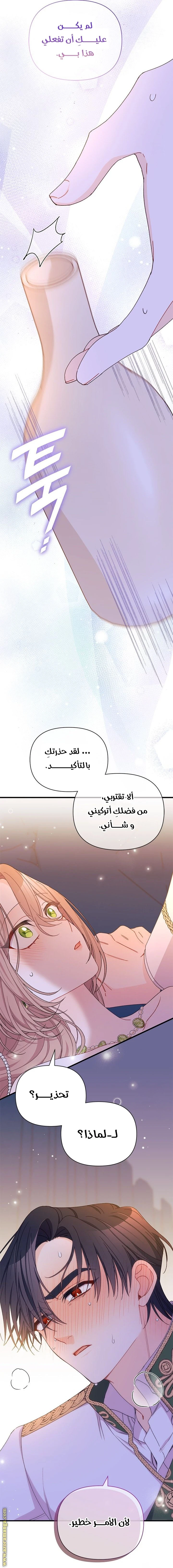الصفحة 17