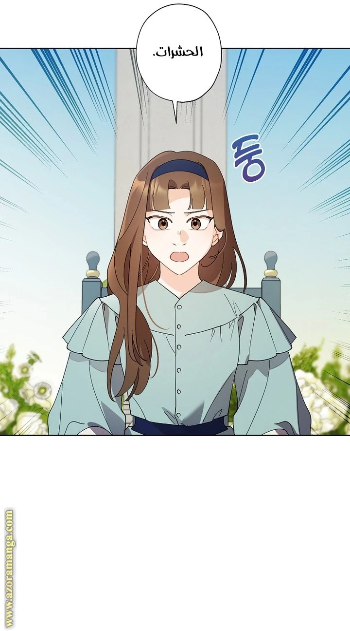 الصفحة 17