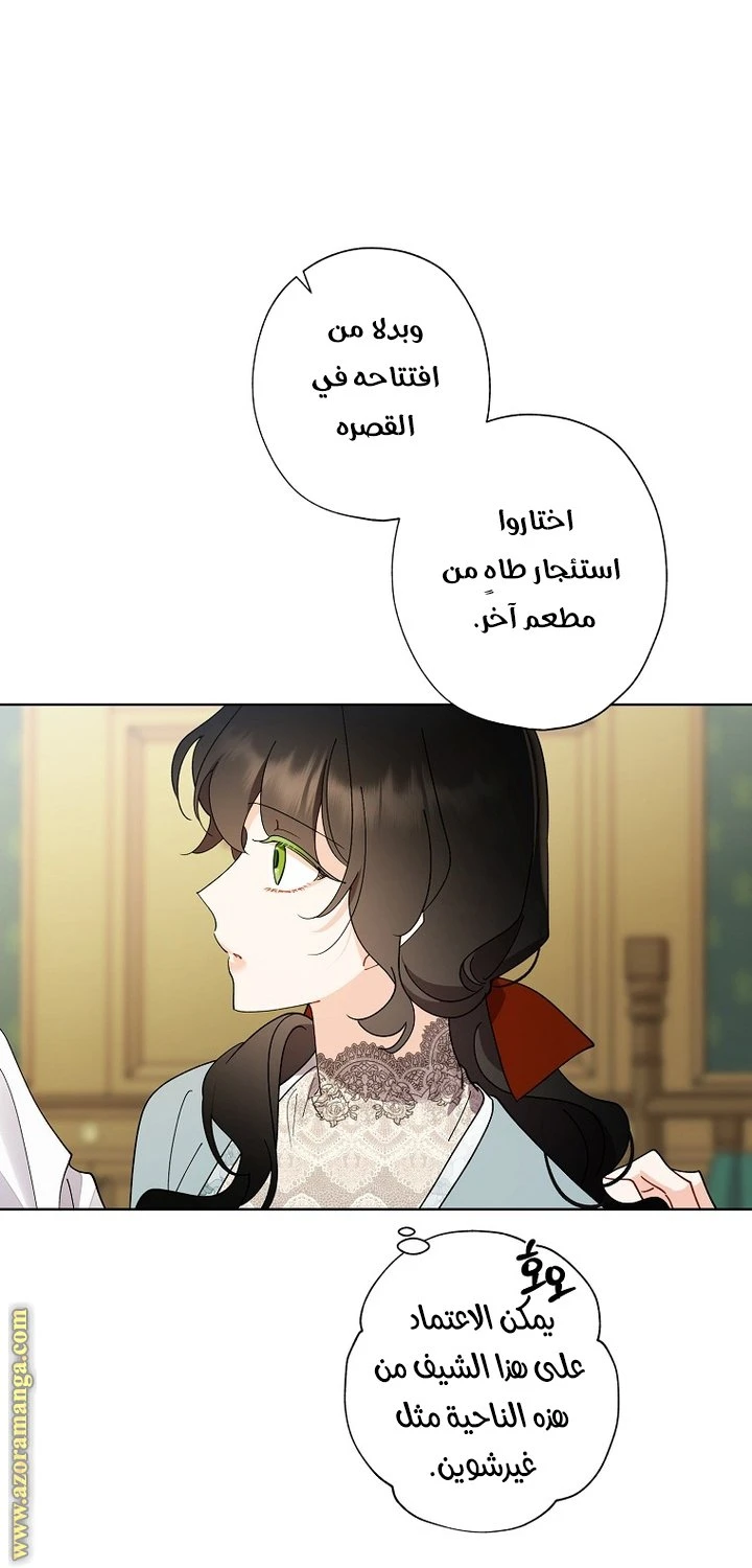 الصفحة 27