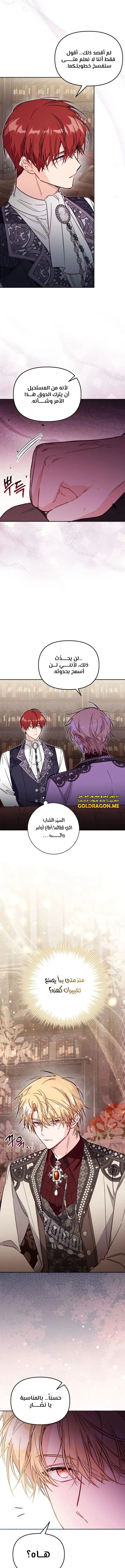 الصفحة 11