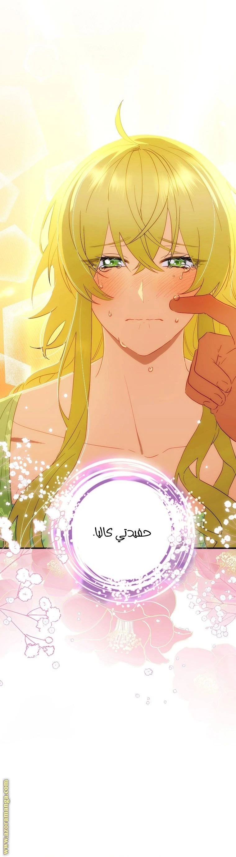 الصفحة 30